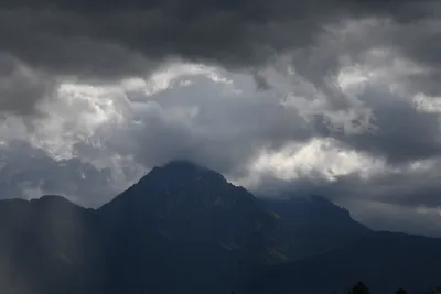 DSC_6333 (Large).JPG